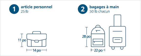 Un objet personnel et deux bagages à main par passager.